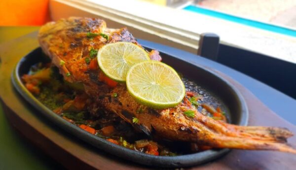 Whole Snapper